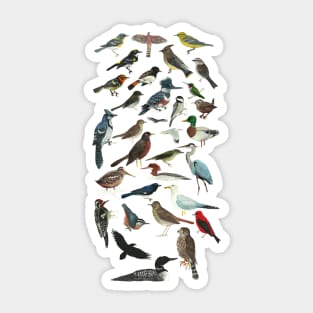 Bird Fanatic Sticker